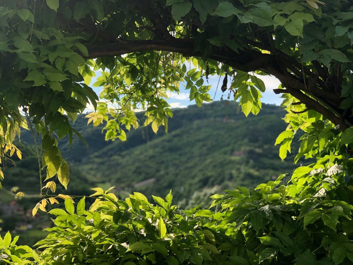 Tenuta Pian D'Attesio - Agriturismo Castelletto Soprano Экстерьер фото